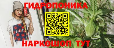 ECSTASY Будённовск