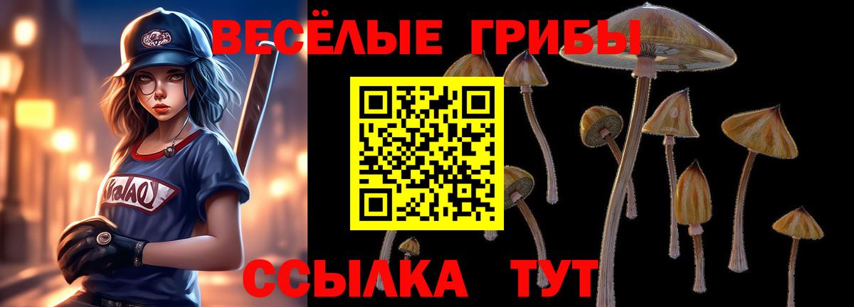 Галлюциногенные грибы Psilocybe  Галлюциногенные грибы Psilocybine cubensis  Лосино-Петровский  Вход с VPN 